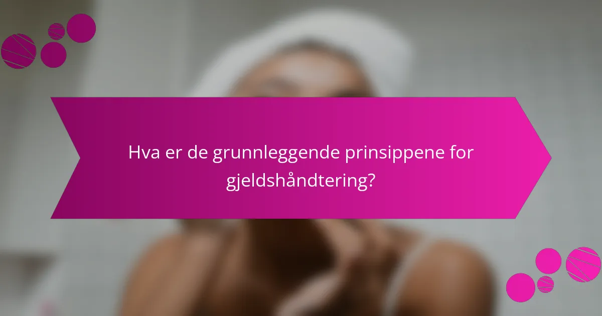 Hva er de grunnleggende prinsippene for gjeldshåndtering?